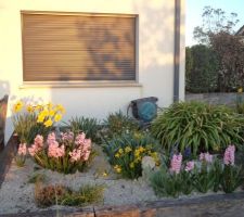 La moitié d ela jardinière refaite en septembre 2024 premières fleurs