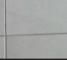 Carreau remplac&eacute;