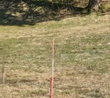 Alignement de jalons : 1:coin sur chemin 2:coin prairie 3:alignement, jalon sous le sapin