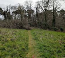 Les travaux de pr&eacute;paration des terrains (parties communes, am&eacute;nagements) du lotissement sont lanc&eacute;s semaine 12. Il enl&egrave;ve les friches et pr&eacute;serve les grands arbres.