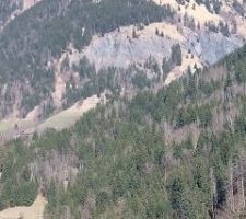 Où est Charlie ? Non : "où est la Bistorte ?"