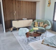Panneaux acoustiques niche salon