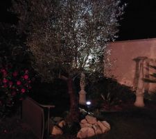 CHANGEMENT ECLAIRAGE SUR LE PARTERRE DE L OLIVIER