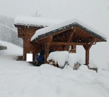 Chutes de neige des 16 et 17 avril 2025
