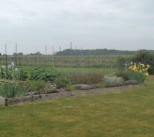 Le potager sous la pluie d'avril 26.04.2025