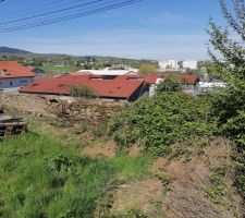 D&eacute;gagement de la v&eacute;g&eacute;tation du mur