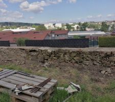 D&eacute;gagement de la v&eacute;g&eacute;tation du mur.