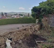 D&eacute;gagement de la v&eacute;g&eacute;tation du mur.