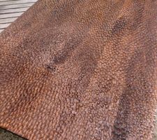 Coloration de la planche de chêne au brou de noix, après avoir gougé la surface. Cette planche sera la façade du tiroir du meuble des WC