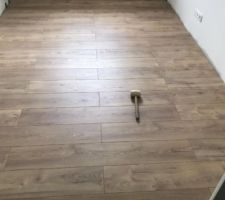 Tadin!!!!!, il et pas beau notre parquet ?
