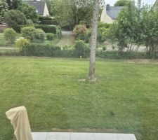 Jardin clairsemé