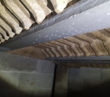 Le vide sanitaire est très humide en raison d'une mauvaise ventilation