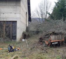Une trouvaille sous les ronces ...