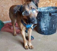 Inspecteur des travaux finis