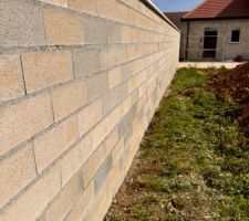 Débroussaillage et brossage des murets avant crépis
