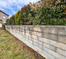 Débroussaillage et brossage des murets avant crépis
