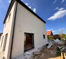 Crépis maison