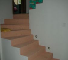 Escalier a venir marche en bois et rampe en fer forgé en attendant rampe en carton et marche en peinture pour limiter la poussière