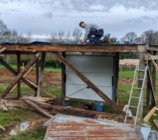 R&eacute;cup&eacute;ration d'un abri &agrave; chevaux pour faire la cabanne de chantier