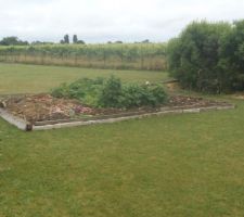 Projet de potager pour augmenter la surface de récolte et la diversité des plants
il fera 4 X 5 délimité provisoirement avant l'achat des bastaings .