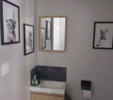 Déco toilettes terminée