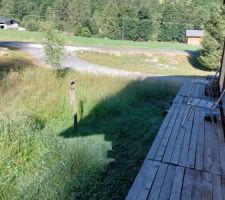 Vue au soleil levant, avant que le coupe l'herbe déjà bien haute