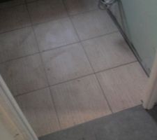 SDB, je suis d&eacute;&ccedil;us ils m'ont mi du joint gris!