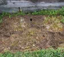 Ne laissez pas vos coffres de jardin sur de l'herbe
