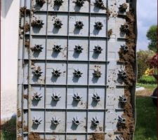 Ne laissez pas vos coffres de jardin sur de l'herbe