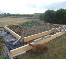 Chantier potager en cours