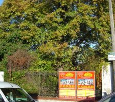 Permis de construire