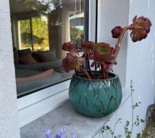 Châssis fixe salon
Choix blanc fenêtres et stores compte tenu du réchauffement climatique