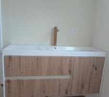 Meuble vasque suspendu
