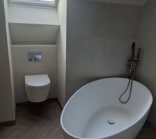 Baignoire ovale SP et WC suspendu (grohe)