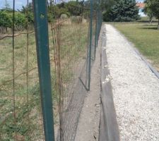 Grillage tout rouillé j'ai commencé par ôter les cables tendeurs et raccourcir le grillage par la base, puis couper la bâche et la ramener vers le petit gravier. j'ai ensuite récupéré la terre sur 20 cm . la clôture sera changée, devis signée, réalisation 2026 patience