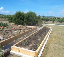 Ca y est le parterre fraisiers est opérationnel j'ai rajouté de la terre du terreau horticole et encore de la terre. il me reste les bordures a enterrer pour faciliter la tonte de la pelouse .