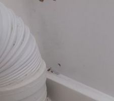Réparation effectuée il faut attendre que les murs sèchent maintenant