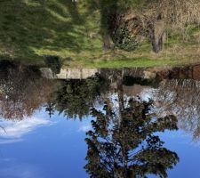 Voici le terrain pour lequel on a eu un coup de c?ur ?