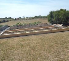 La terre ramenée brouette après brouette est posée sur le potager 4X5 .