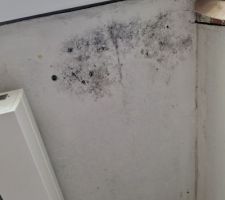 Le mur c&ocirc;t&eacute; fen&ecirc;tre derri&egrave;re le radiateur...