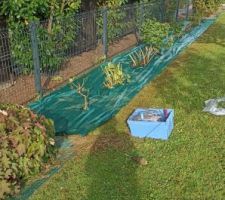 Début de la taille des haies, arbres etc... pour faire place nette