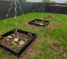 Vue intérieure de la clôture 1.57m. face nord est. On aperçoit sur la droit un de nos abris de jardin où prochainement s'adossera le réservoir d'eau de pluie. Et nos petits carrés potager maison. Un premier essai.
Au fond des coffres, normalement pour les poubelles mais on y a mis les vélos. Et quelques bricoles de jardinage.