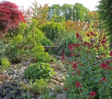 Empierrement (sur toile de paillage) du Jardin sec, pour moins d'entretien