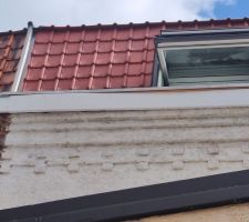 Couverture de planche de rive pos&eacute;e comme des clowns partie 3