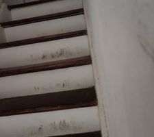 On constate ici le soin pris par les ouvriers lors des travaux