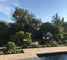 Piscine carrelée.
