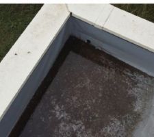 Des eaux stagnent