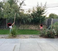 Mur en pierres sèches (granit) + brande de bruyère + zozos