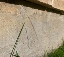 Fissures soubassement