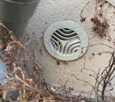 Vide sanitaire tres humide. Les bouches sont presentes. Mais lorsque je passe un furet dedans, il bloque.
